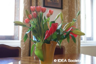http://www.idea-society.org/data/2010/20100508b.jpg