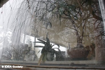 http://www.idea-society.org/img/Photo_Kubelka/p3.jpg