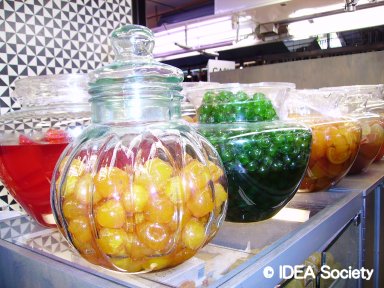 http://www.idea-society.org/img/Photo_Ortega/zp2.jpg