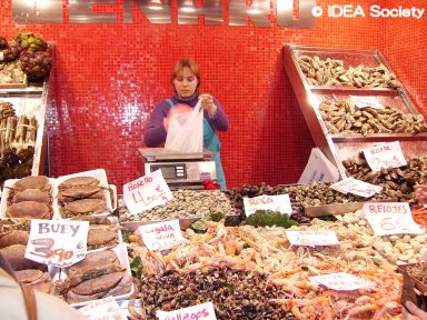 http://www.idea-society.org/img/Photo_Ortega/zp5.jpg
